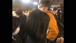 [9j53jn6p]Palpis_s_542