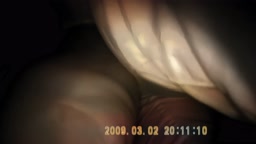 本物の頃のQ 5−2 擬似カラー化