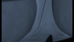 [f01glafq]54-palpis-53414