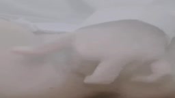 オホ声オナニー