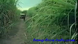 Vintage Ebony Interracial Fuck