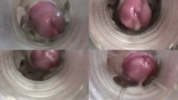 My Xmas Gift For You - Fleshlight Cumshot Firework