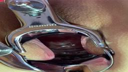 骚货母狗曲明远