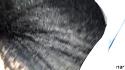 nar コスプレイヤー痴 漢 1