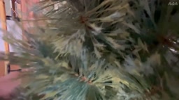 頂点に達すると