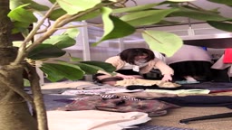 パンチラjav-jvip-ipcam9