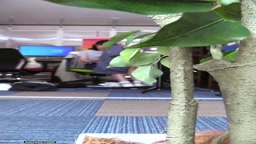 パンチラjav-jvip-ipcam10