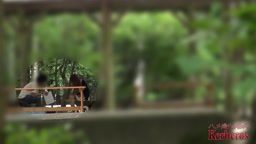 人の奥さん愛奴3号　夏休みに旦那と