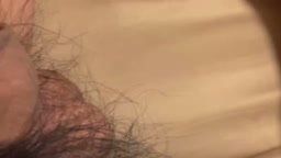 ハイビスタス、ニコ生の左脳ちゃんのことを好きすぎて金玉が大きくなったことを報告