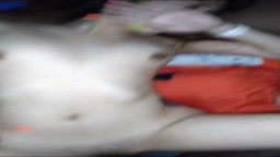 Asian Yakuza Girl Gets Africanize