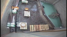 SDDS-016 温泉 剛毛 陰毛 その2