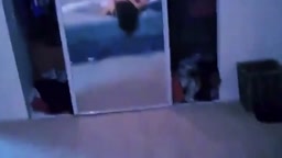 Rough Anal Pounding From Behind