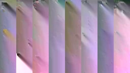 Sexy girls at the beach