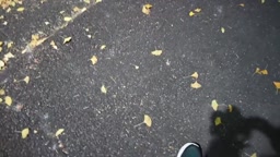 美貌のバイト店員