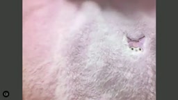 ライブチャット