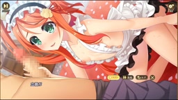 戦国恋姫【R型通常版】【固定通常版】