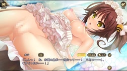 戦国恋姫【R型通常版】【固定通常版】