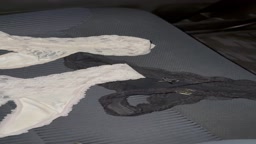 洗濯物 Tバック