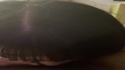 友達の姉ちゃんのイラマ