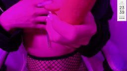 薔薇園202508-1_limited