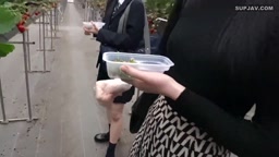 ネオペイ過去最高の逸品