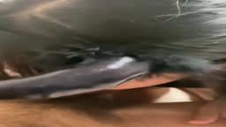 小情侣在家爱爱自拍