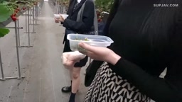 無）帰国子女と大人のお姉さん