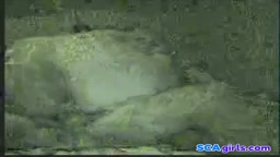 Norsk ektepar har amatørsex