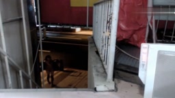 リスナー呼んだって