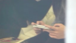 PF_ぺんしょん かっぷる.mp