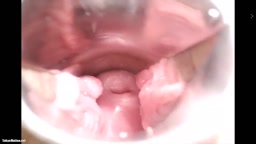 あかり　ライブチャット