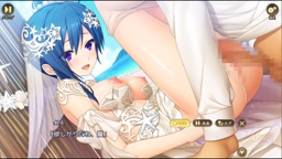 戦国恋姫【R型通常版】【固定通常版】