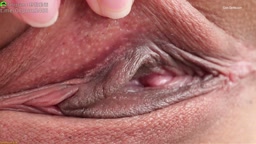 美乳お姉さん 1