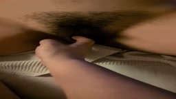 剛毛で見えない