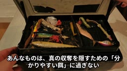 「【閲覧注意】SNSから消えたあのモデルの真相。海外高額案件で『■■』にされた日本人モデルの衝撃告白」