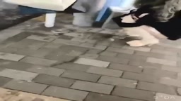 拭けへんのか～い！