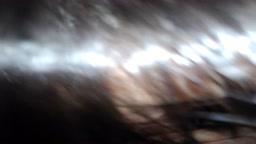 フェラ＆手コキ２