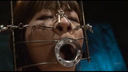 ADVE-004 メスの牢獄 柏木あづさ