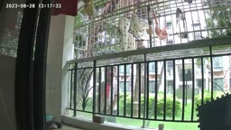 パンツを盗むC国人