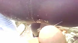 Amigo Encoxando a Culote (remaster HD)