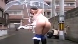 拾い ウッドペッカー