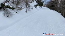 Public Blowjob on a Walking Trail with a Busty Amateur Teen