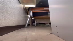 ２５歳