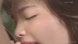 きららかおり・チョコ・鷹（無・レトロ）