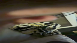 渋谷、18歳Hカップ、東大お嬢様