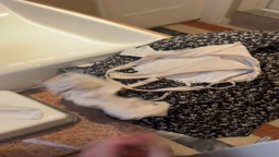 渋谷、21歳Cカップ、派遣社員