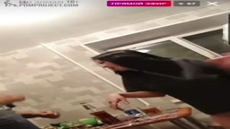 激カワチャットレディー