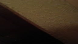 歌舞伎町の立ちんぼとネカフェで