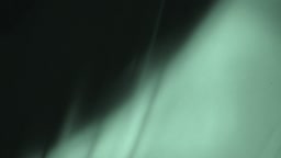 ～無反応我慢チャレンジ～ day2