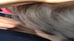 野外にて谷間見せフェラ